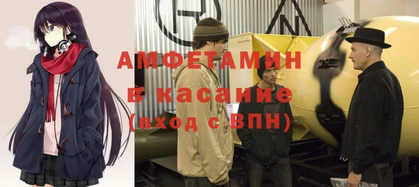 мет Алексин
