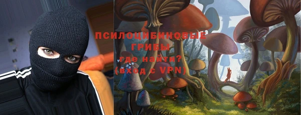 МДПВ Абаза