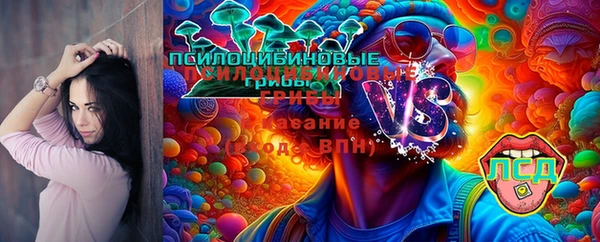 МДПВ Абаза