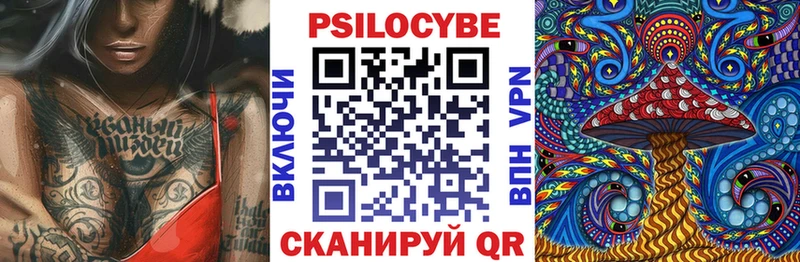 Галлюциногенные грибы Psilocybe  Туринск 